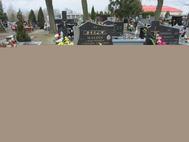 Grób Halina Rzepka